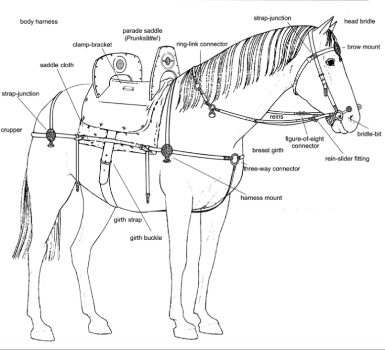 Horses in Early AngloSaxon England RuralHistoria